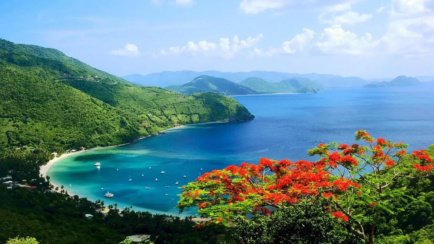 高效信息化科技